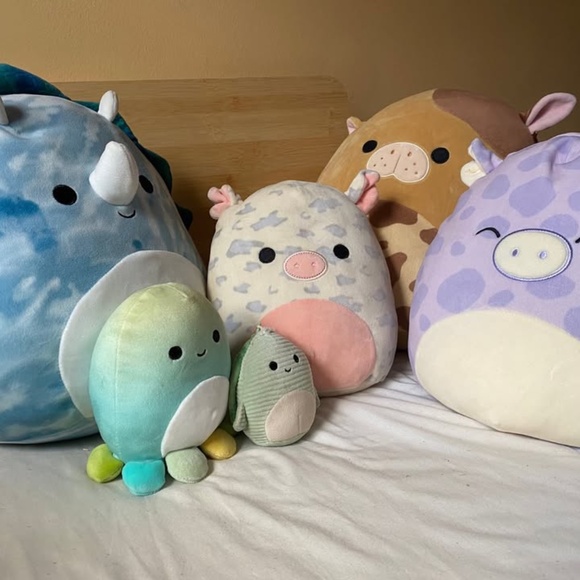 Cute and Rare Squishmallow Bundle - Picture 9 of 9